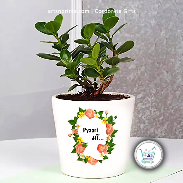 Grow Joy Indoors Eco-Friendly Gifts That Breathe Life